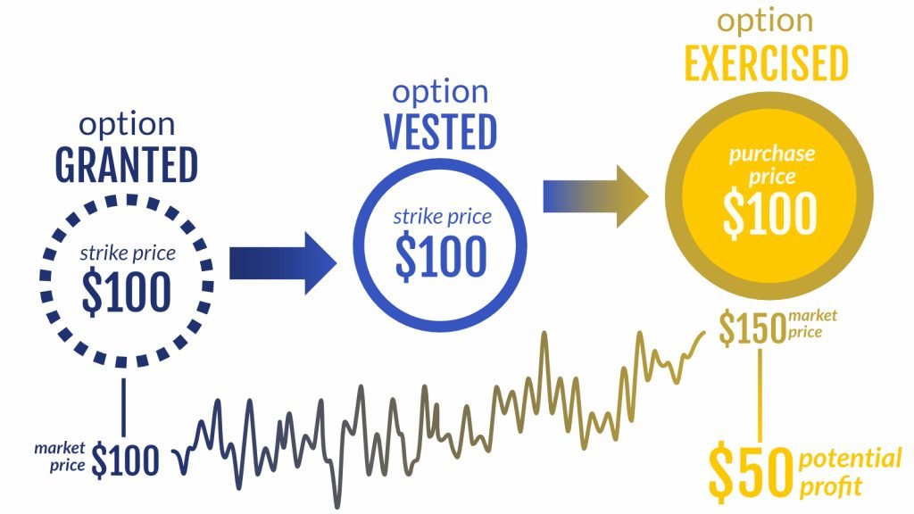 the life cycle of stock options includes the initial grant, vesting period and exercise date
